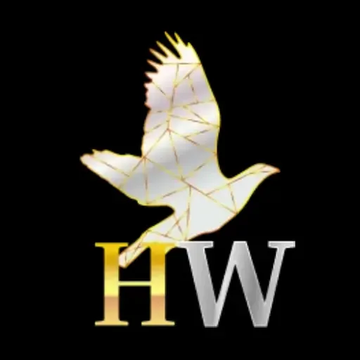 HIBIKIWIN - Game QiuQiu Seru dan Menarik